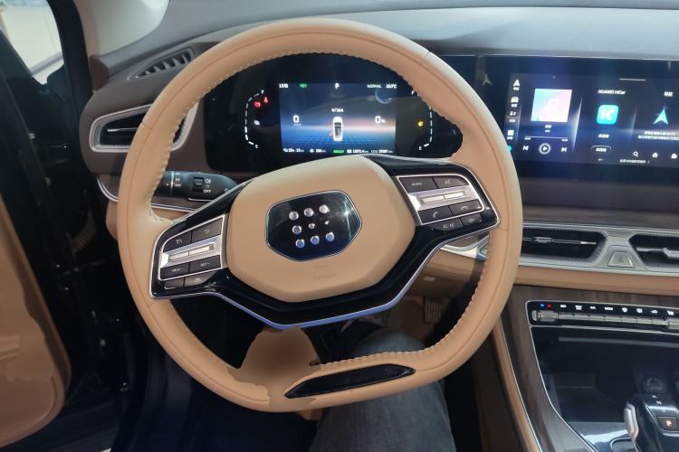 Used Landian E5 2024 Honor Edition 100KM Deluxe 7-Seater Steering Wheel
