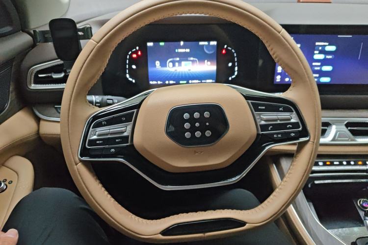 Used Landian E5 2024 Honor Edition 100KM Deluxe 7-Seater Steering Wheel