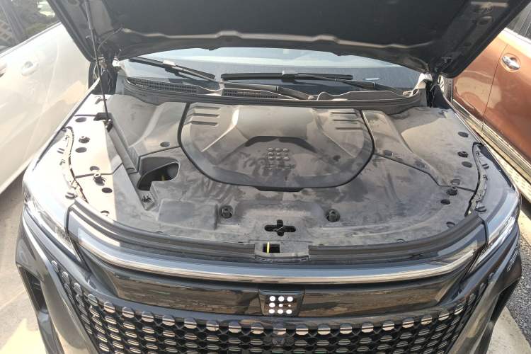 Used Landian E5 2024 Honor Edition 100KM Premium Model 7 Seats Engine Bay