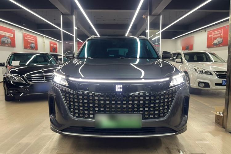 Used Landian E5 2024 Honor Edition 100KM Premium Model 7 Seats Exterior 1