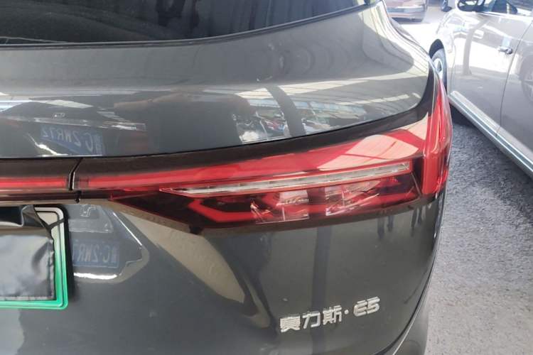 Used Landian E5 2024 Honor Edition 100KM Premium Model 7 Seats Exterior 3
