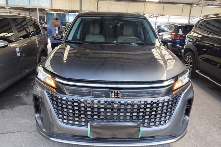 Used Landian E5 2024 Honor Edition 100KM Premium Model 7 Seats Front