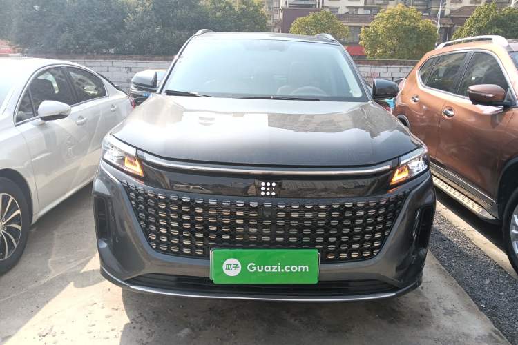Used Landian E5 2024 Honor Edition 100KM Premium Model 7 Seats Front