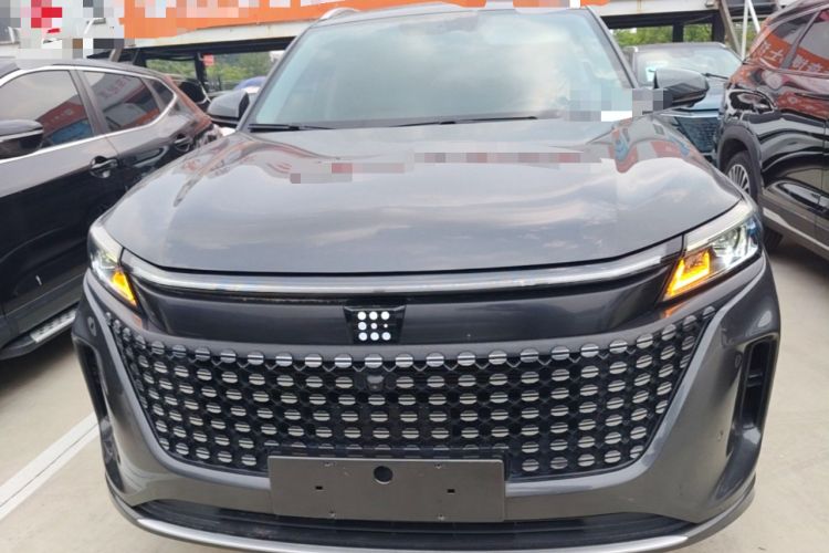 Used Landian E5 2024 Honor Edition 100KM Premium Model 7 Seats Front
