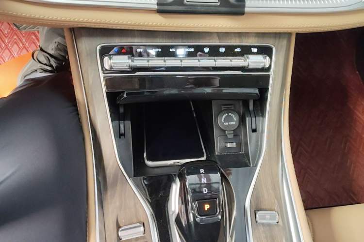 Used Landian E5 2024 Honor Edition 100KM Premium Model 7 Seats Gear Lever
