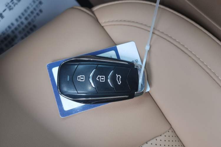 Used Landian E5 2024 Honor Edition 100KM Premium Model 7 Seats Interior 1