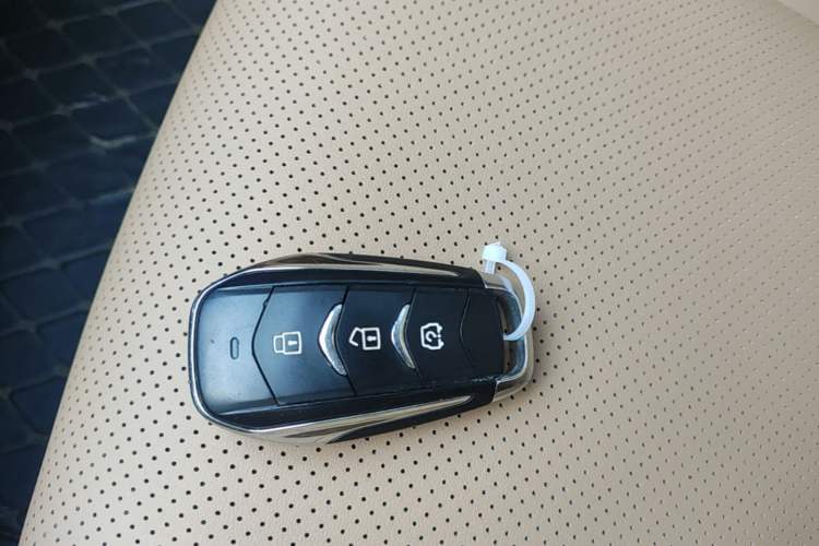 Used Landian E5 2024 Honor Edition 100KM Comfort Model 7 Seats Interior 1