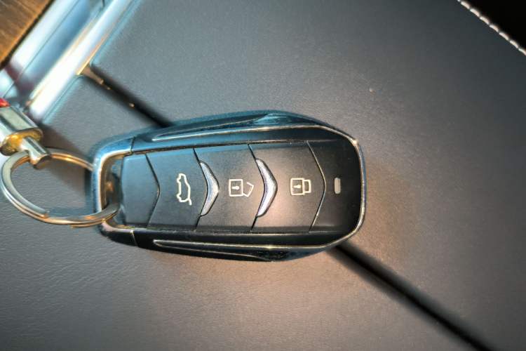 Used Landian E5 2024 Honor Edition 100KM Premium Model 7 Seats Interior 1