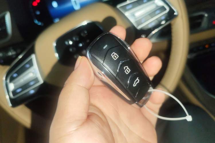 Used Landian E5 2024 Honor Edition 100KM Premium Model 7 Seats Interior 1