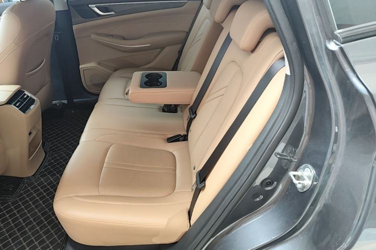 Used Landian E5 2024 Honor Edition 100KM Comfort Model 5 Seats Left Rear Seat