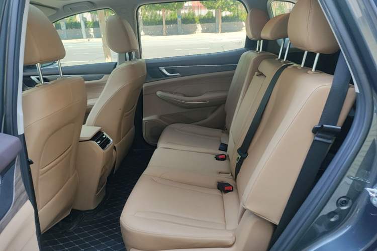 Used Landian E5 2024 Honor Edition 100KM Comfort Model 7 Seats Left Rear Seat