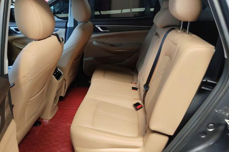 Used Landian E5 2024 Honor Edition 100KM Premium Model 7 Seats Left Rear Seat
