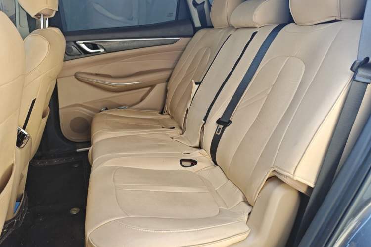 Used Landian E5 2024 Honor Edition 100KM Premium Model 7 Seats Left Rear Seat