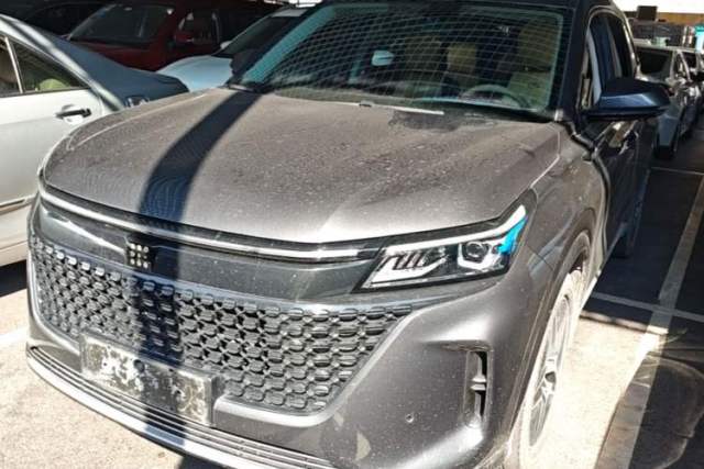 Used Landian E5 2024 Honor Edition 100KM Premium Model 7 Seats