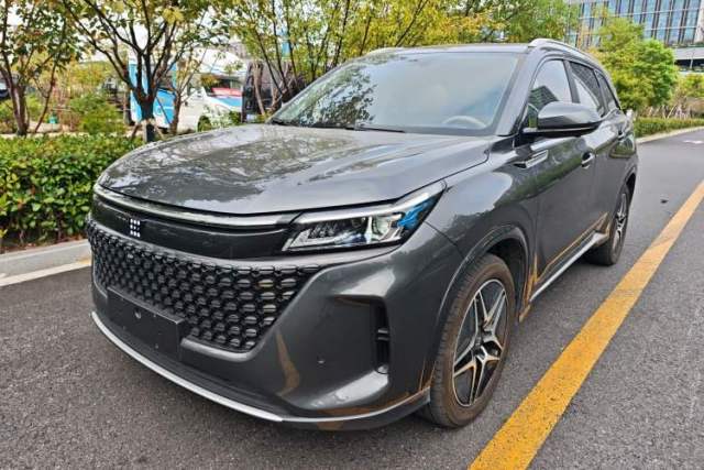 Used Landian E5 2024 Honor Edition 100KM Premium Model 7 Seats