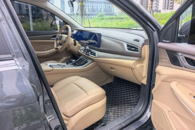 Used Landian E5 2024 Honor Edition 100KM Comfort Model 5 Seats Right Front Seat