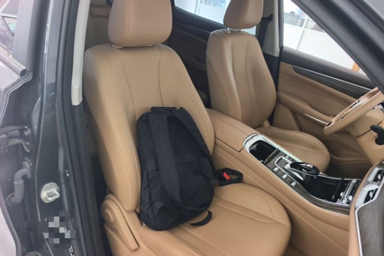 Used Landian E5 2024 Honor Edition 100KM Comfort Model 7 Seats Right Front Seat