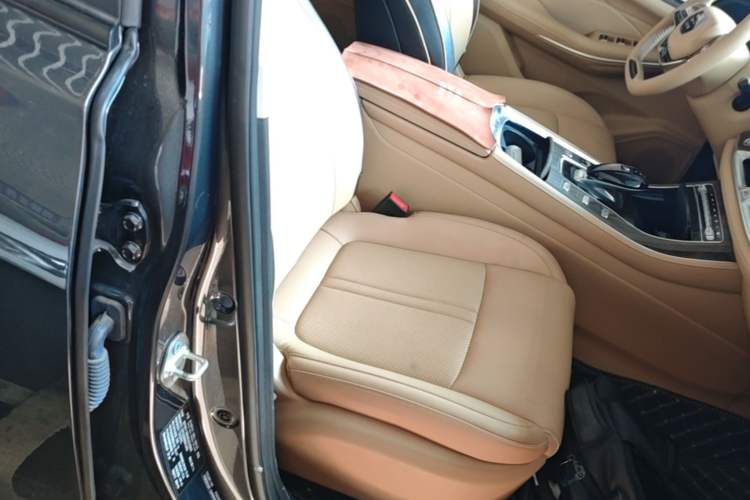 Used Landian E5 2024 Honor Edition 100KM Premium Model 7 Seats Right Front Seat