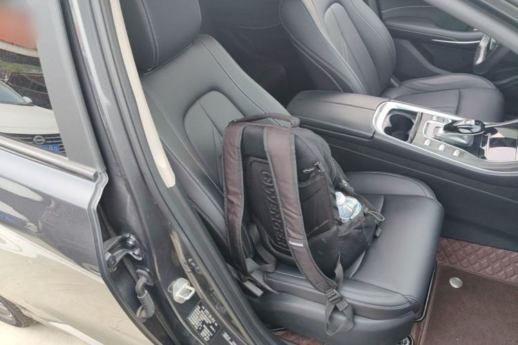 Used Landian E5 2024 Honor Edition 100KM Premium Model 7 Seats Right Front Seat