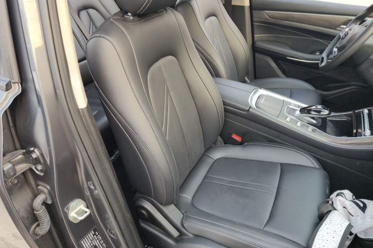 Used Landian E5 2024 Honor Edition 100KM Deluxe 7-Seater Right Front Seat