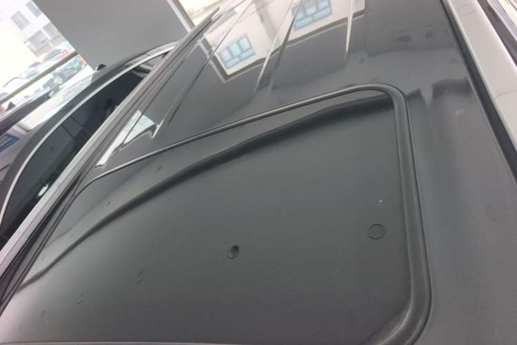Used Landian E5 2024 Honor Edition 100KM Comfort Model 7 Seats Roof
