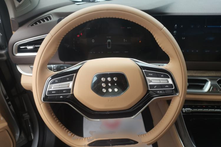 Used Landian E5 2024 Honor Edition 100KM Premium Model 7 Seats Steering Wheel