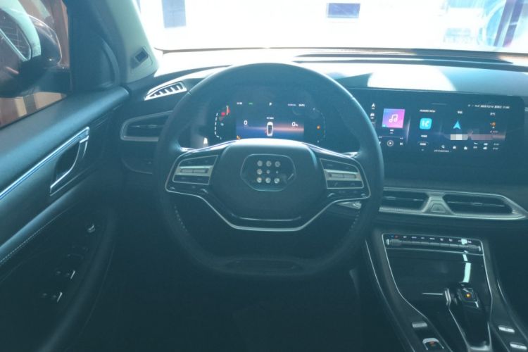 Used Landian E5 2024 Honor Edition 100KM Premium Model 7 Seats Steering Wheel