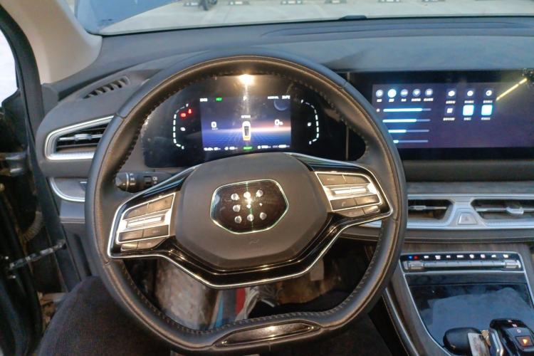 Used Landian E5 2024 Honor Edition 100KM Comfort Model 7 Seats Steering Wheel
