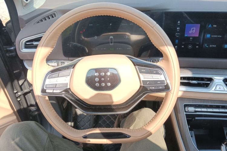 Used Landian E5 2024 Honor Edition 100KM Premium Model 7 Seats Steering Wheel