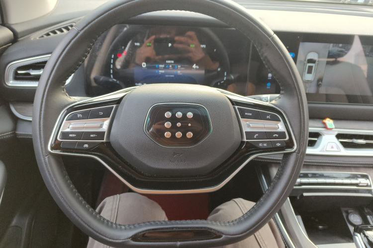 Used Landian E5 2024 Honor Edition 100KM Deluxe 7-Seater Steering Wheel