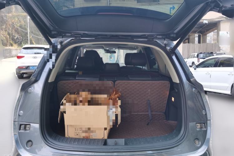 Used Landian E5 2024 Honor Edition 100KM Premium Model 7 Seats Trunk