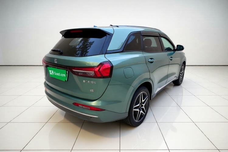 Used Landian E5 2024 Honor Edition 100KM Premium Model 5 Seats Exterior 5