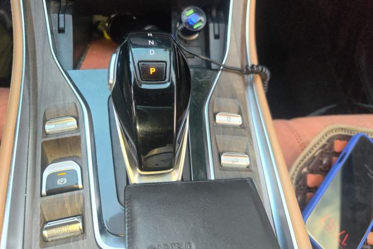 Used Landian E5 2024 Honor Edition 100KM Comfort Model 7 Seats Gear Lever