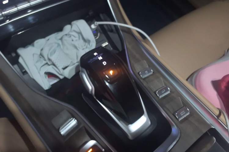 Used Landian E5 2024 Honor Edition 100KM Premium Model 7 Seats Gear Lever