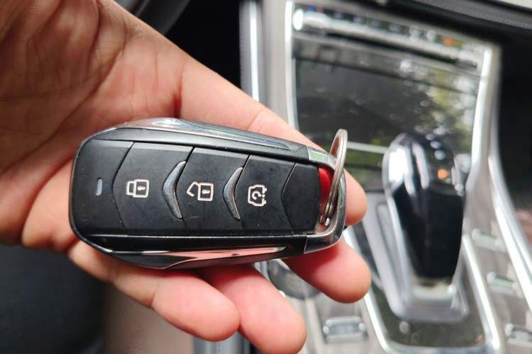 Used Landian E5 2024 Honor Edition 100KM Comfort Model 7 Seats Vehicle Key
