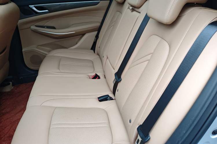 Used Landian E5 2024 Honor Edition 100KM Deluxe 5-Seater Interior 4