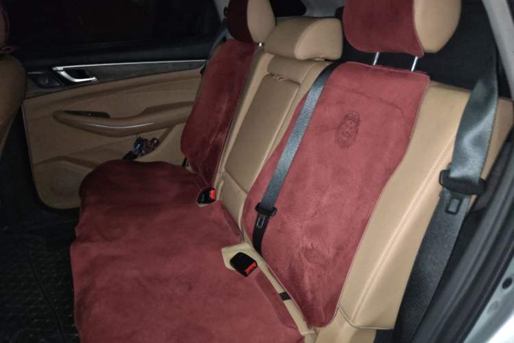 Used Landian E5 2024 Honor Edition 100KM Comfort Model 7 Seats Left Rear Seat