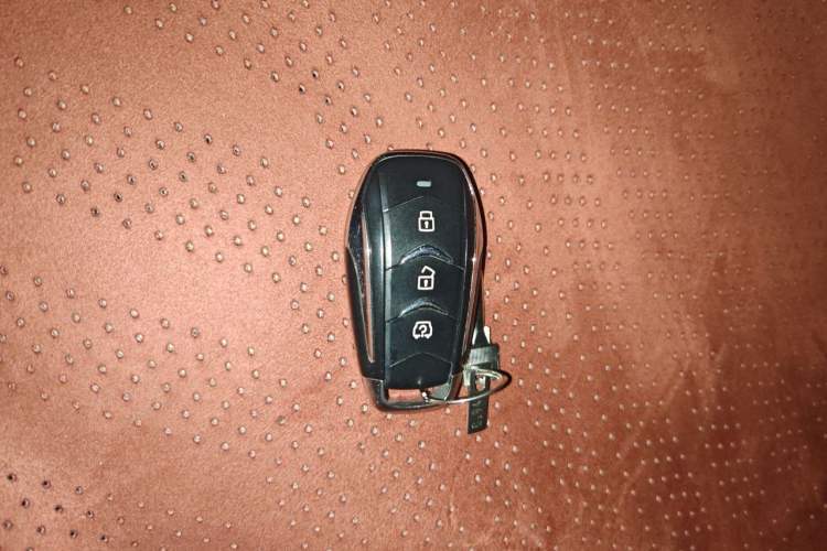Used Landian E5 2024 Honor Edition 100KM Comfort Model 7 Seats Vehicle Key