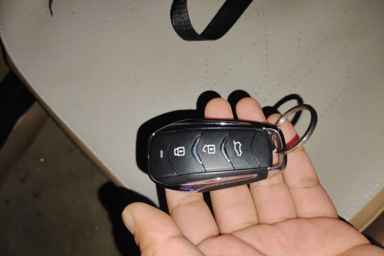 Used Landian E5 2024 Honor Edition 100KM Premium Model 7 Seats Vehicle Key