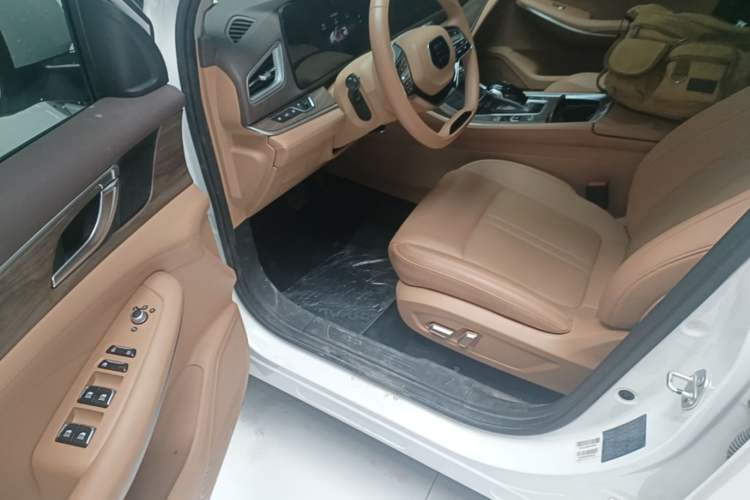 Used Landian E5 2024 Honor Edition 100KM Premium Model 7 Seats Driver Seat