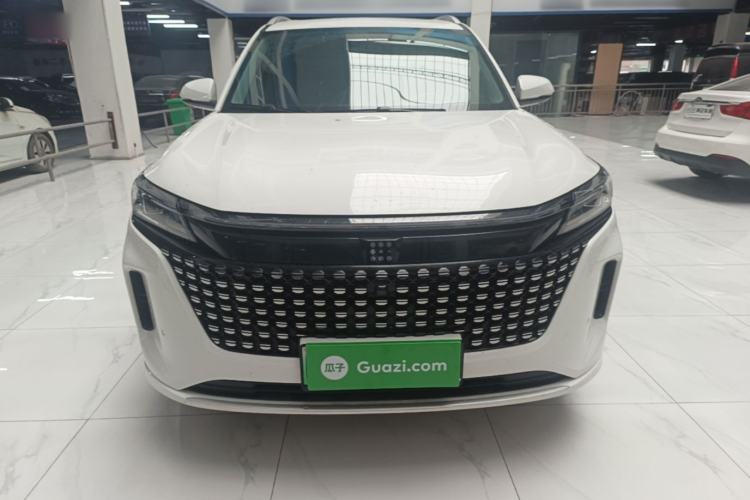 Used Landian E5 2024 Honor Edition 100KM Premium Model 7 Seats Front