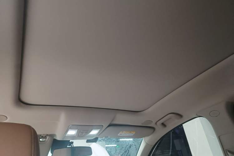 Used Landian E5 2024 Honor Edition 100KM Premium Model 7 Seats Headliner