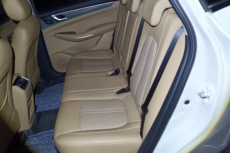 Used Landian E5 2024 Honor Edition 100KM Comfort Model 5 Seats Left Rear Seat