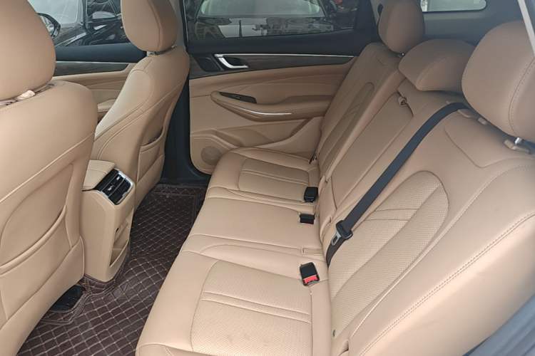 Used Landian E5 2024 Honor Edition 100KM Deluxe 7-Seater Left Rear Seat