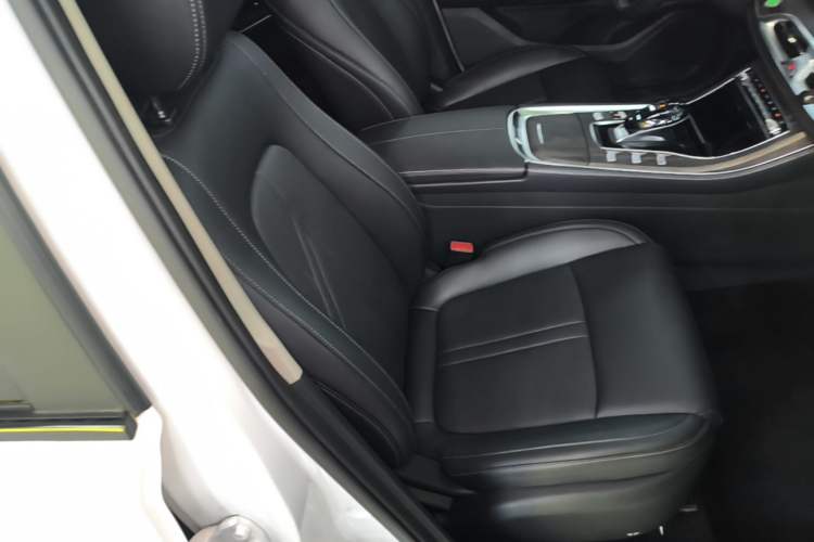 Used Landian E5 2024 Honor Edition 100KM Premium Model 7 Seats Right Front Seat