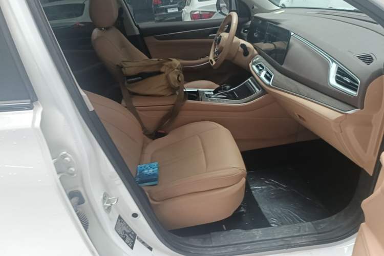 Used Landian E5 2024 Honor Edition 100KM Premium Model 7 Seats Right Front Seat