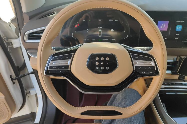 Used Landian E5 2024 Honor Edition 100KM Deluxe 7-Seater Steering Wheel