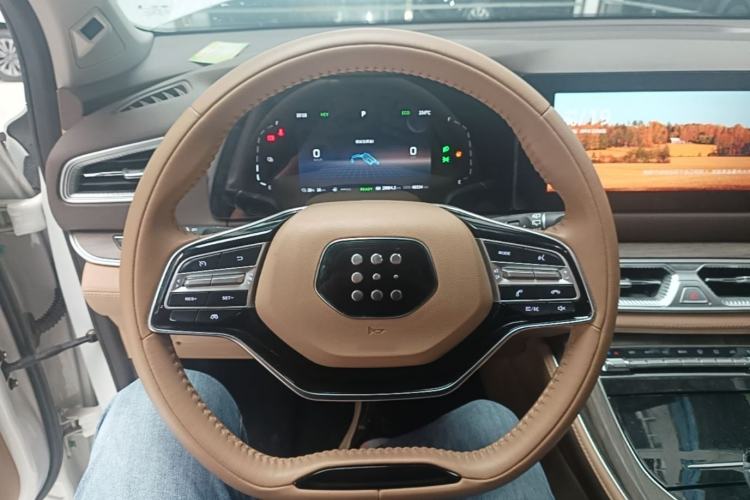 Used Landian E5 2024 Honor Edition 100KM Premium Model 7 Seats Steering Wheel