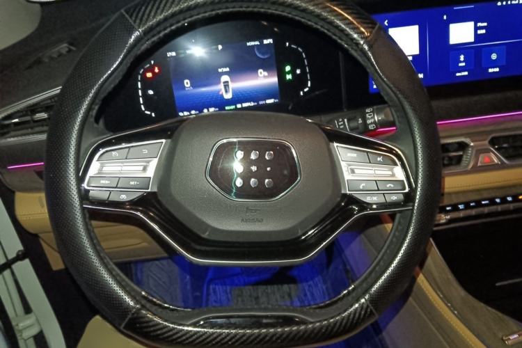Used Landian E5 2024 Honor Edition 100KM Comfort Model 5 Seats Steering Wheel