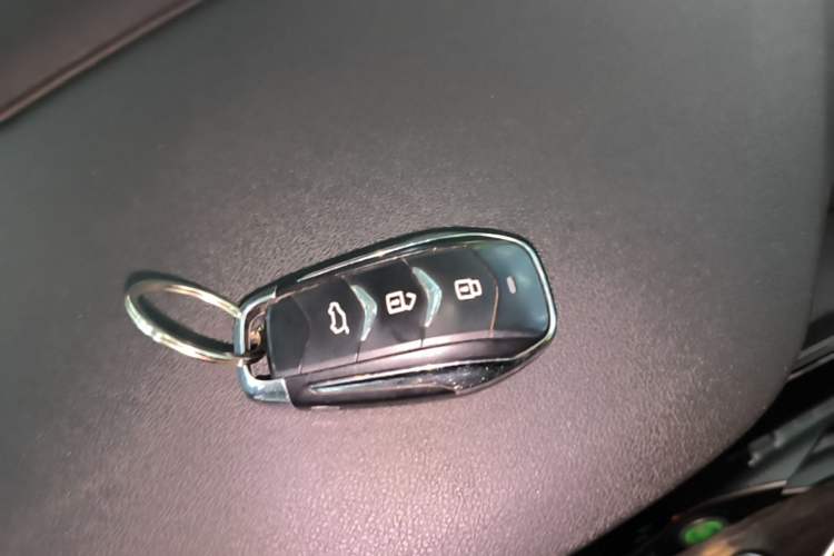 Used Landian E5 2024 Honor Edition 100KM Premium Model 7 Seats Vehicle Key